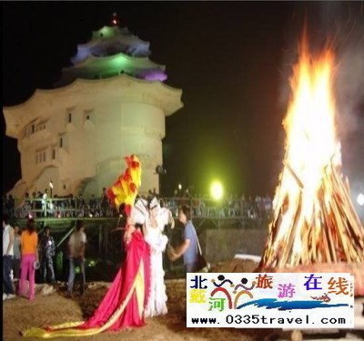 北戴河碧螺塔酒吧公园门票一张